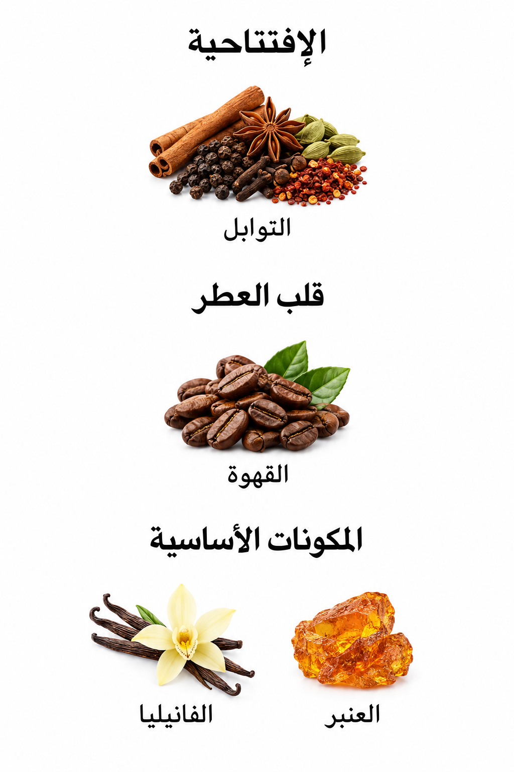 مكونات عطر Lattafa Khamrah Qahwa