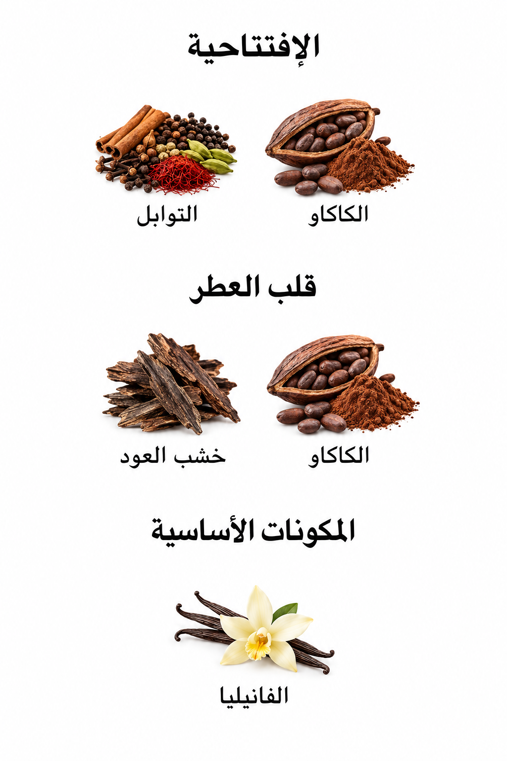 مكونات عطر Stronger With You Oud