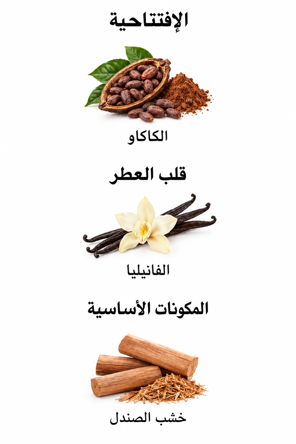 مكونات عطر Stronger With You Parfum